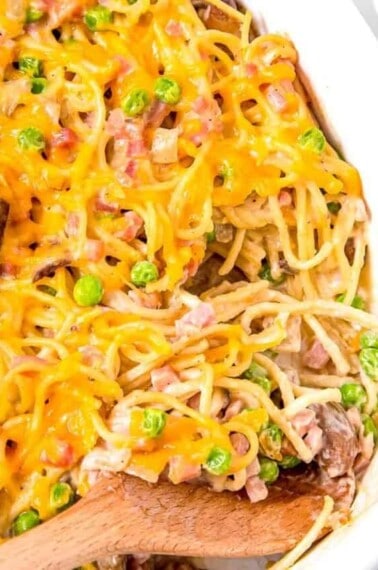 cropped-Ham-Tetrazzini-2.jpg
