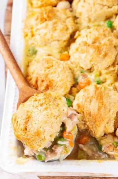 cropped-Chicken-Dumplings-Casserole_06-scaled-1.jpg