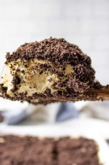 Dirt Cake (11 of 24)