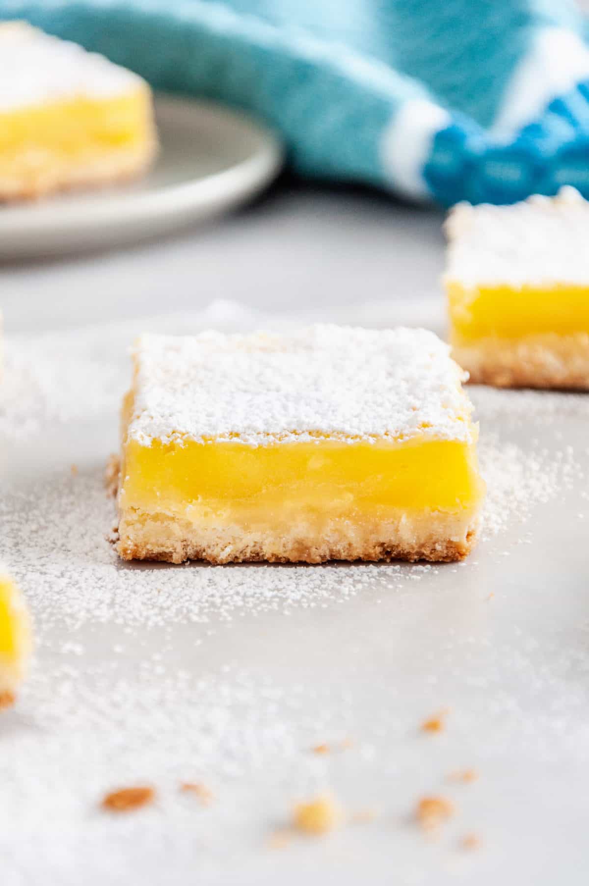 square lemon bar cross section dusted with powdered sugar
