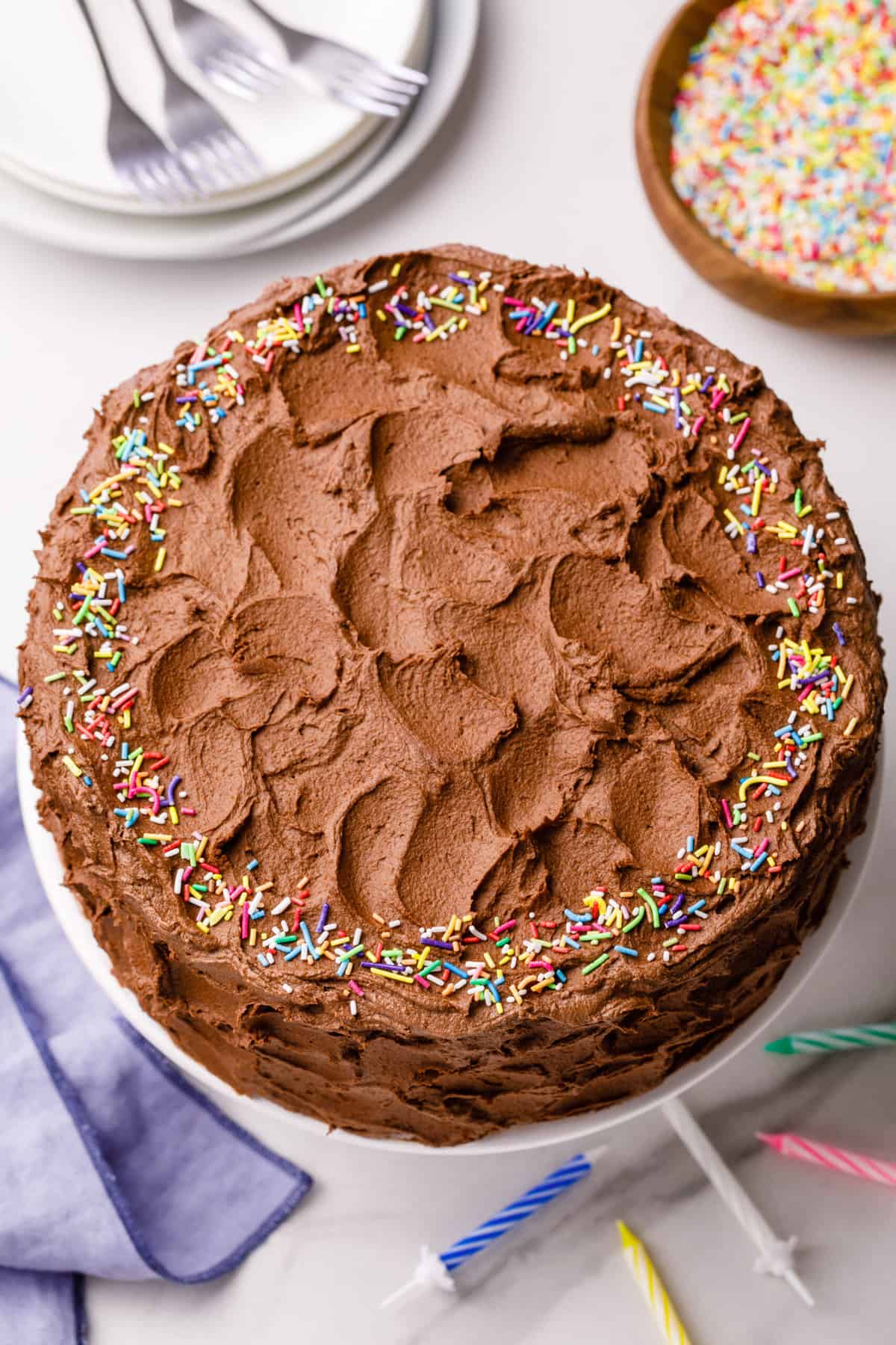 birthday cake (vanilla cake with chocolate frosting and sprinkles) on a cake stand