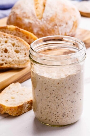 Sourdough Starter Hero-1