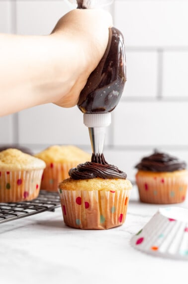 A hand piping yellow cupcakes with chocolate frosting.