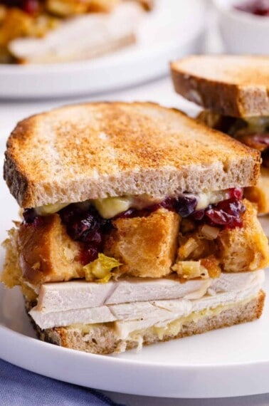 Leftover Turkey Sandwich Hero-2