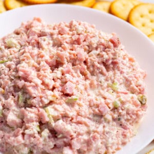 A bowl of ham salad surrounded by crackers.