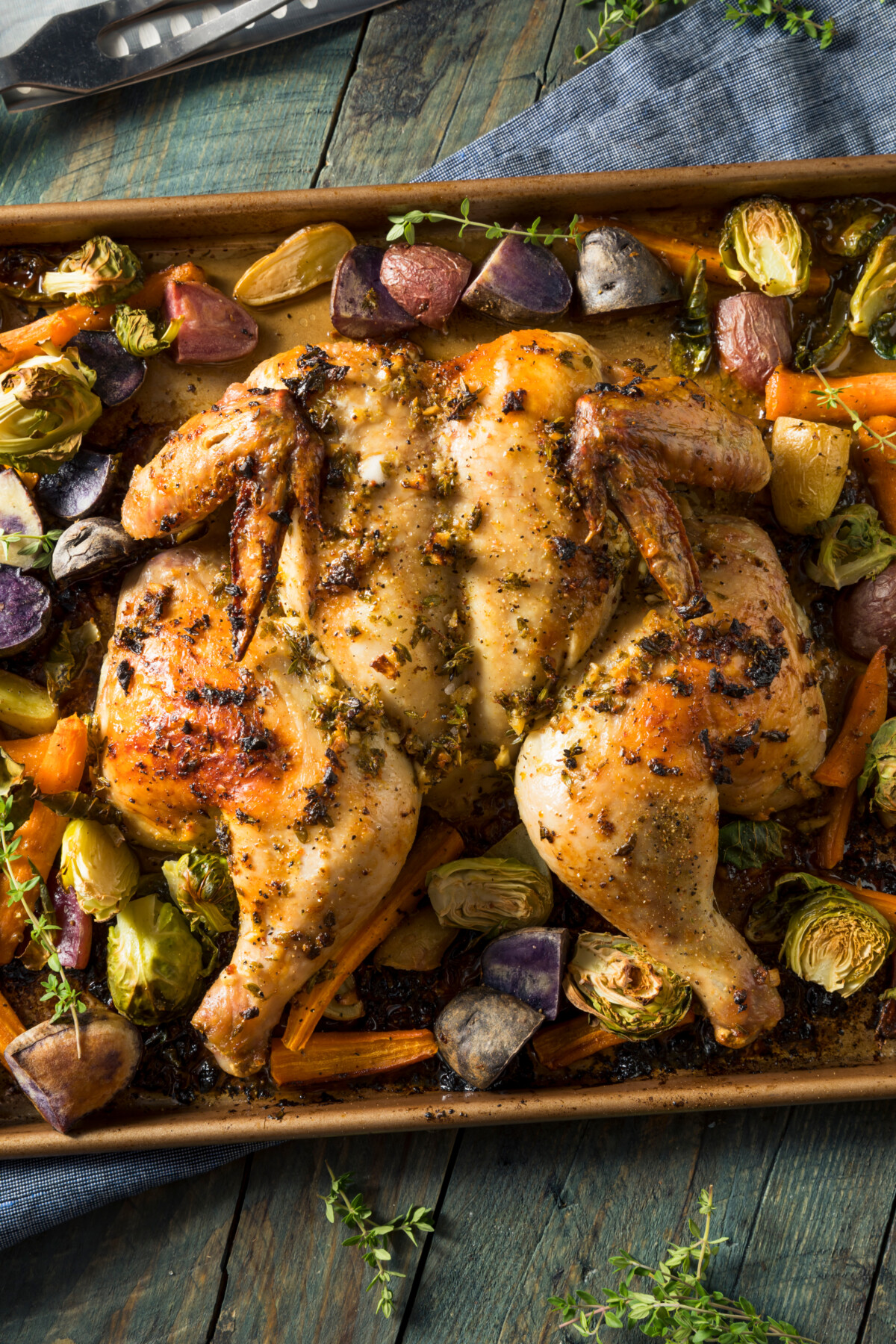 A roasted spatchcock chicken with veggies on a sheetpan. 