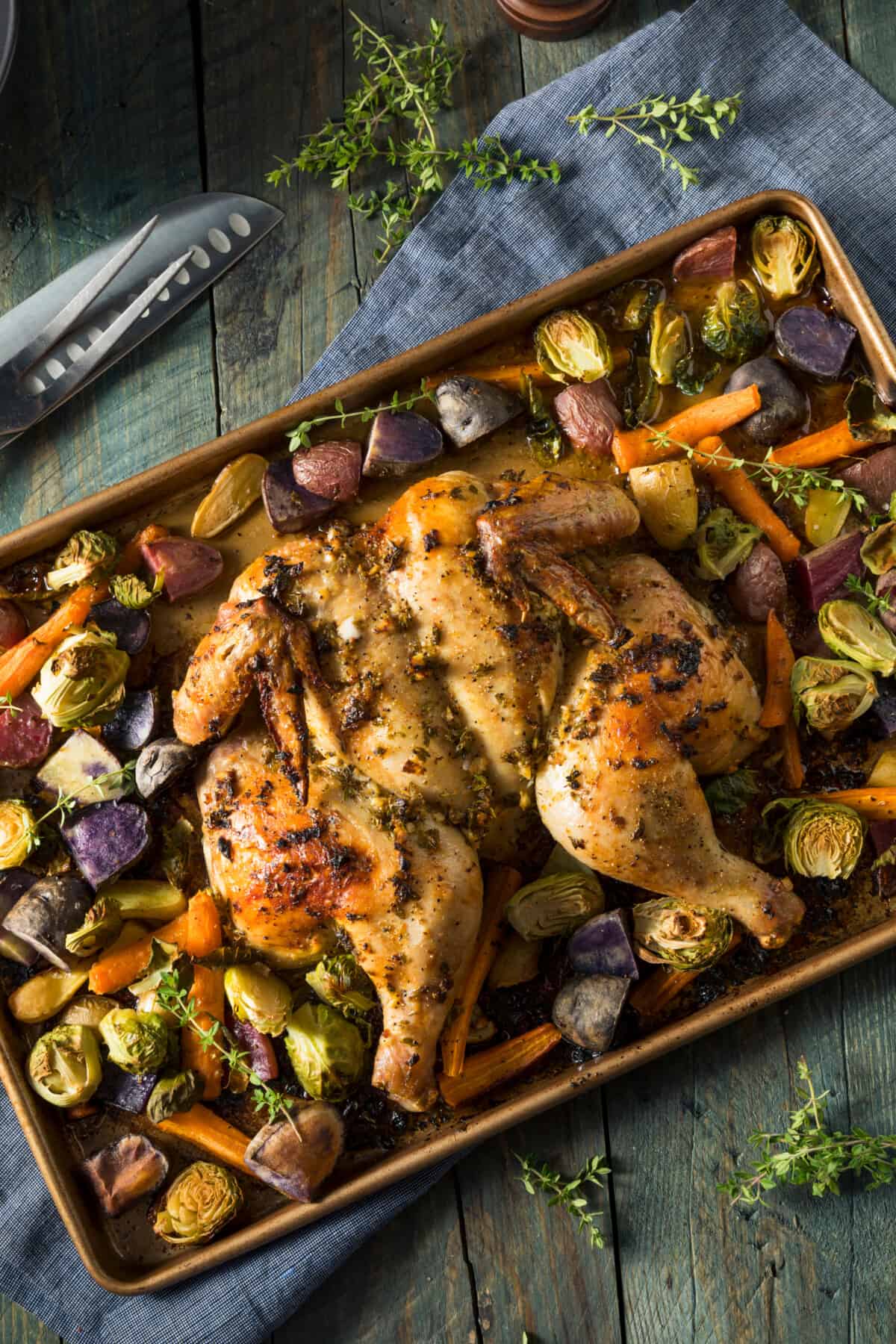 Roasted spatchcock chicken with vegetables on a sheet pan. 