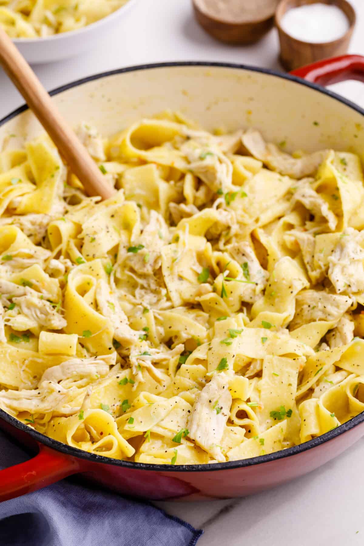 Chicken and noodles in a pot.