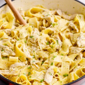Chicken and noodles in a pot.