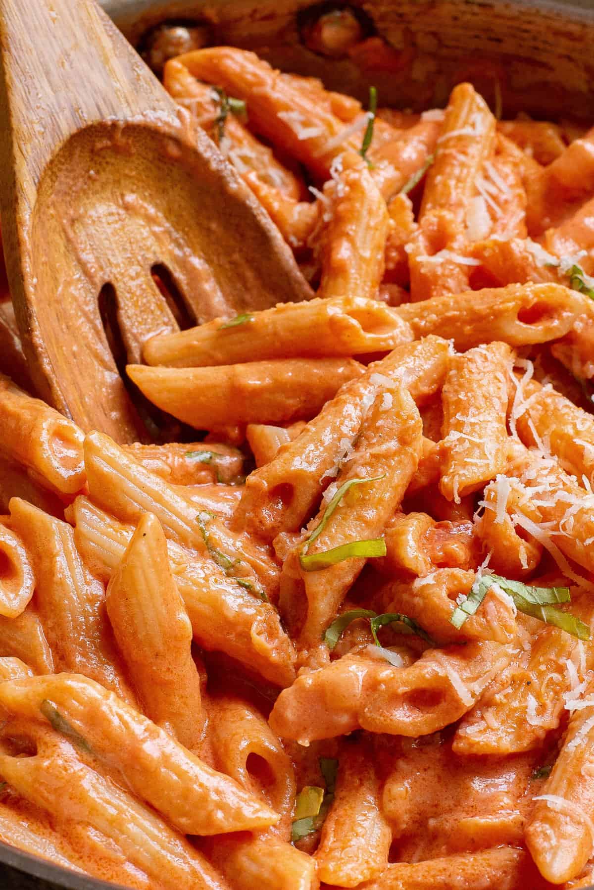 close up image of creamy tomato pasta