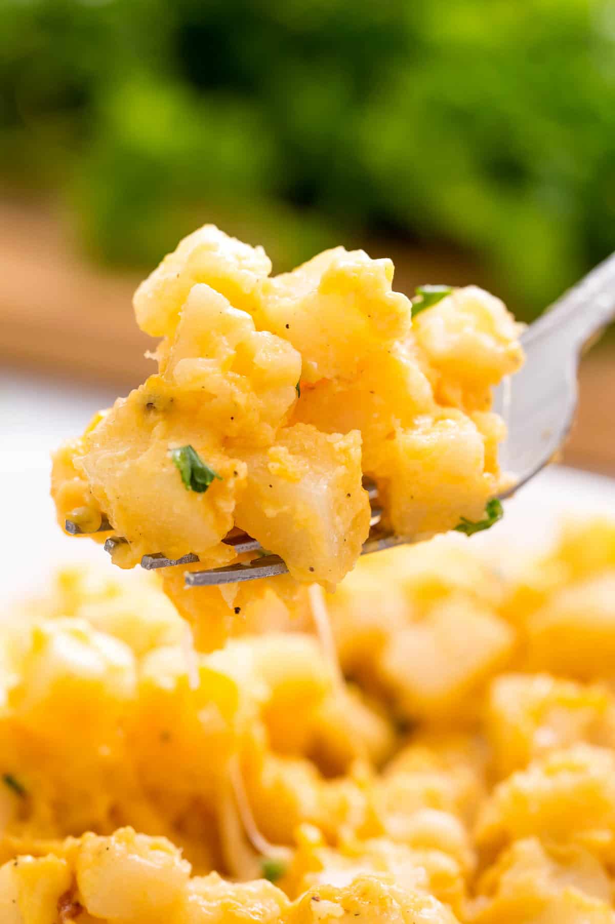 forkful of cheesy potatoes made in a crockpot