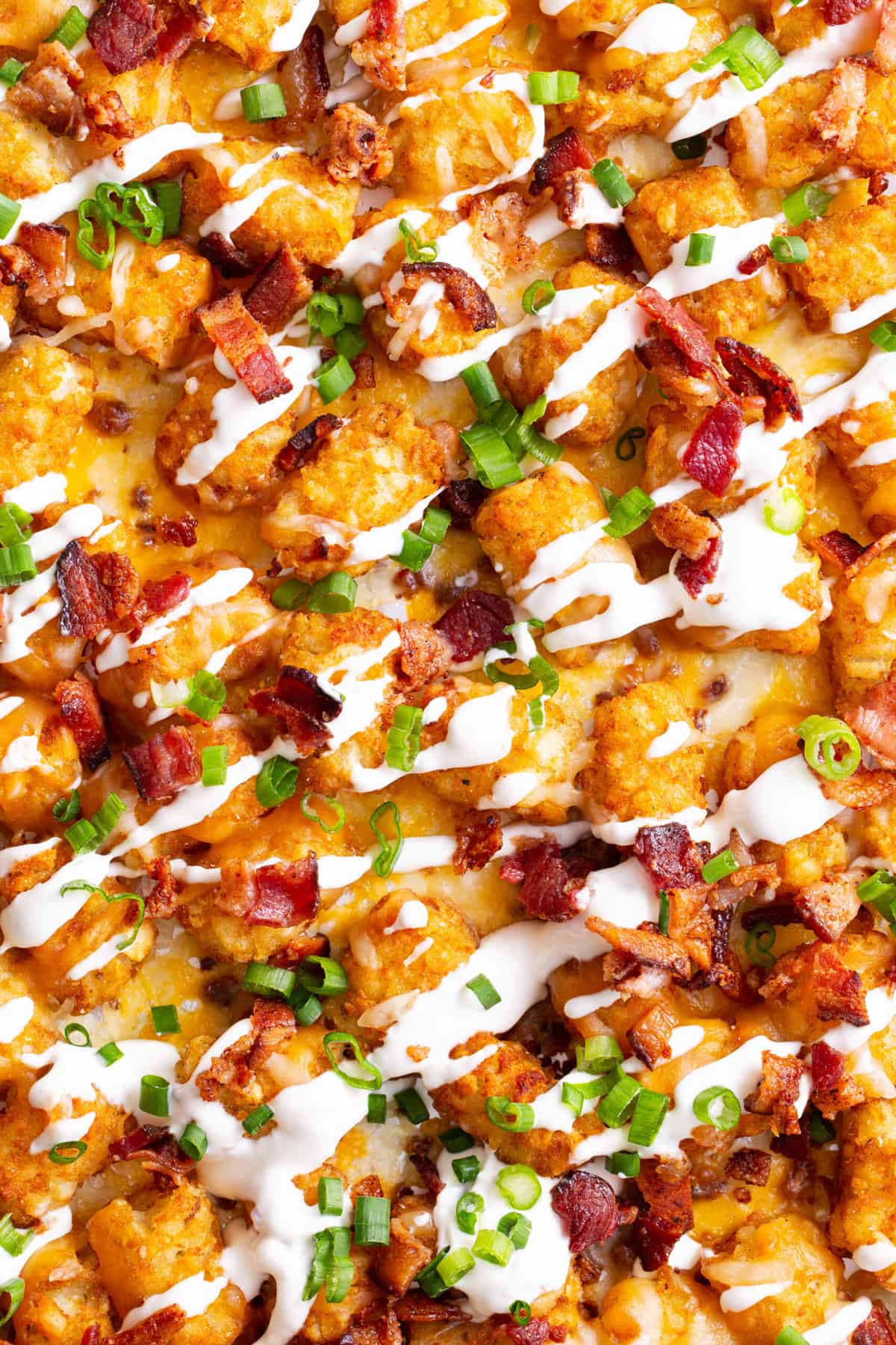 top down image of loaded tater tots
