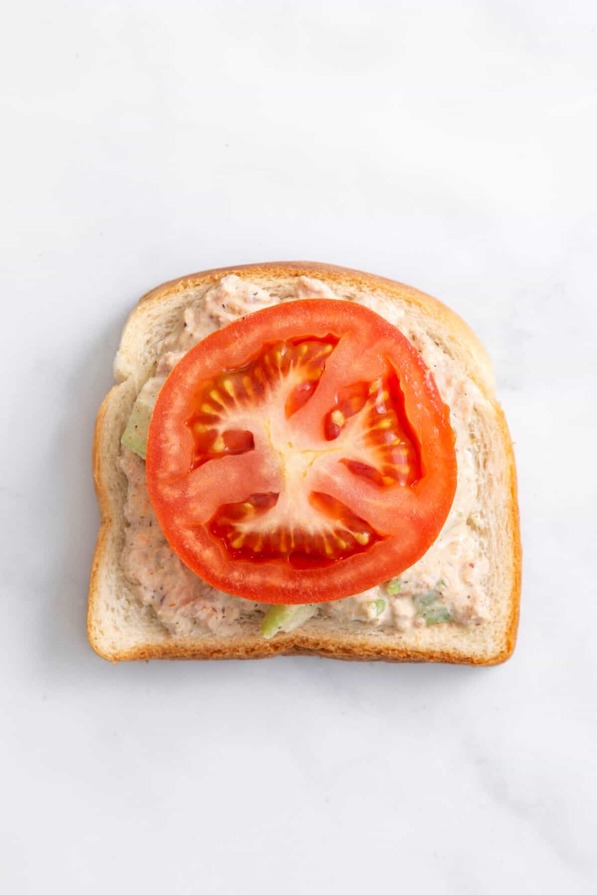 Tomato and tuna salad on slice of bread.