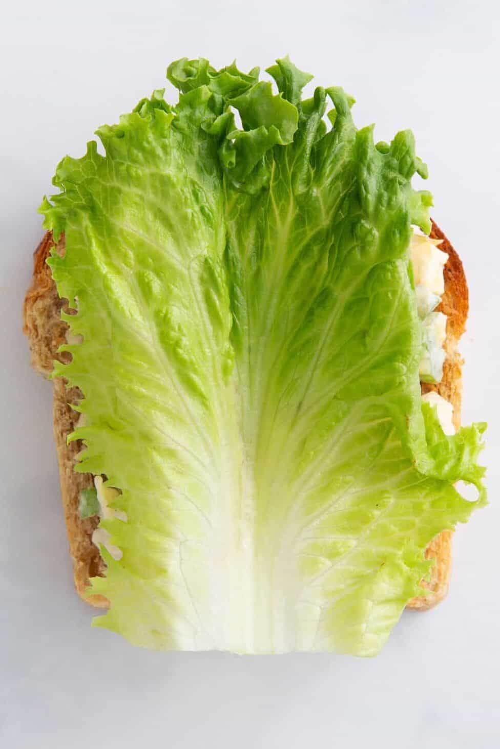 lettuce sitting on top of a bed of chick fil a chicken salad sandwich