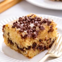 A square of chocolate chip cake on a plate.