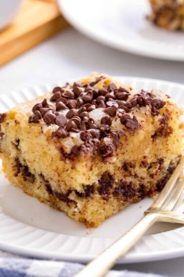 chocolate-chip-cake-hero-7