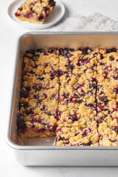 Easy Blueberry Crumble Bars | All Things Mamma
