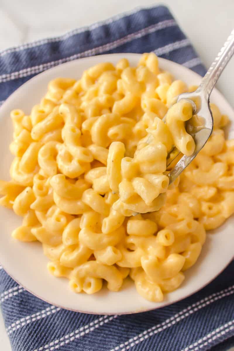 Easy One Pot Macaroni and Cheese Recipe | All Things Mamma
