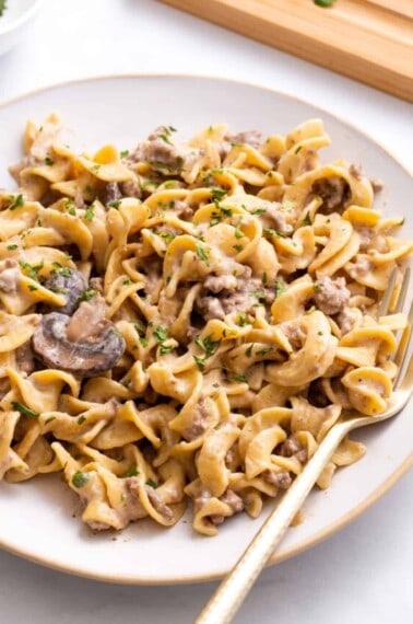 ground-beef-stroganoff-hero-5
