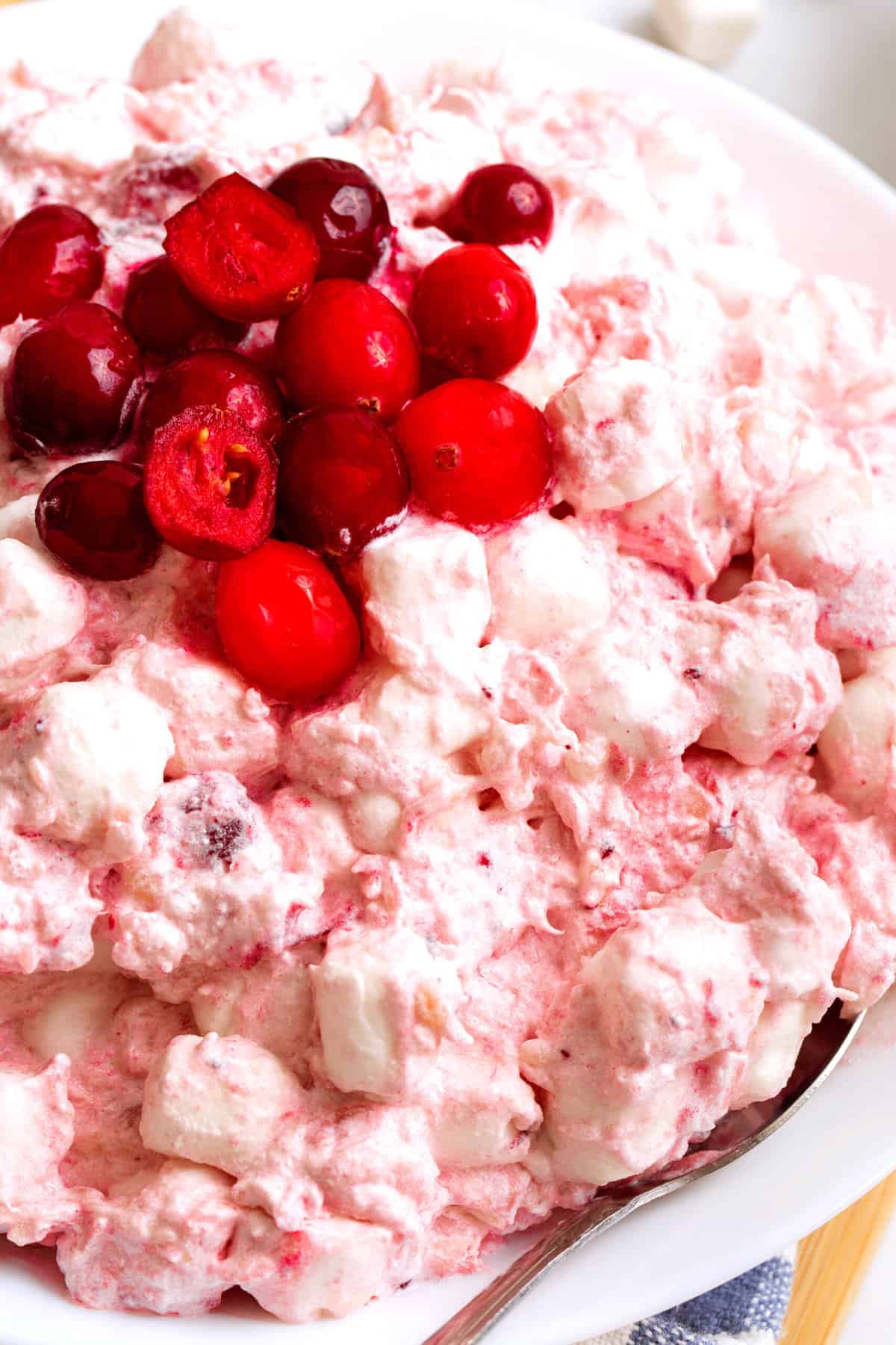 close up image of cranberry fluff served in a large white bowl topped with cranberries. 
