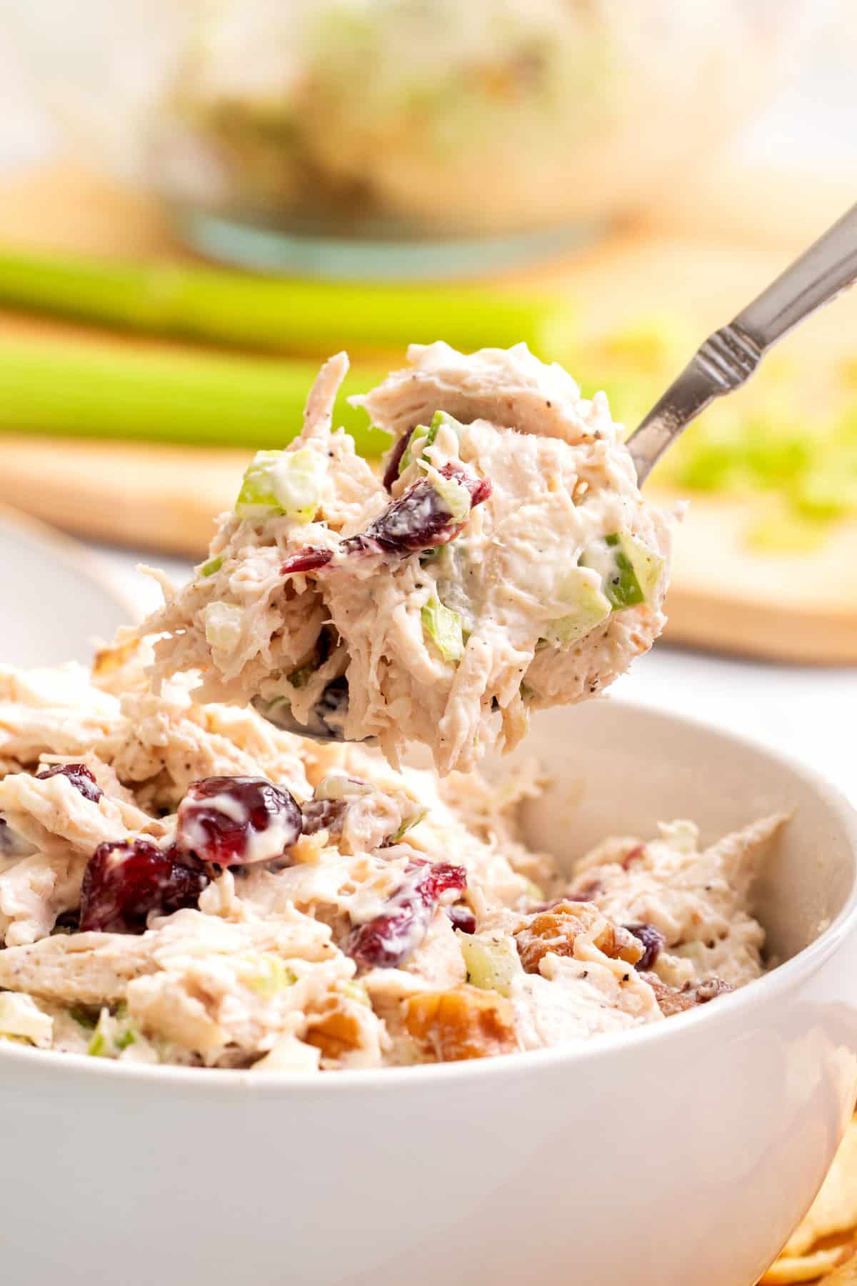 spoonful of cranberry chicken salad.