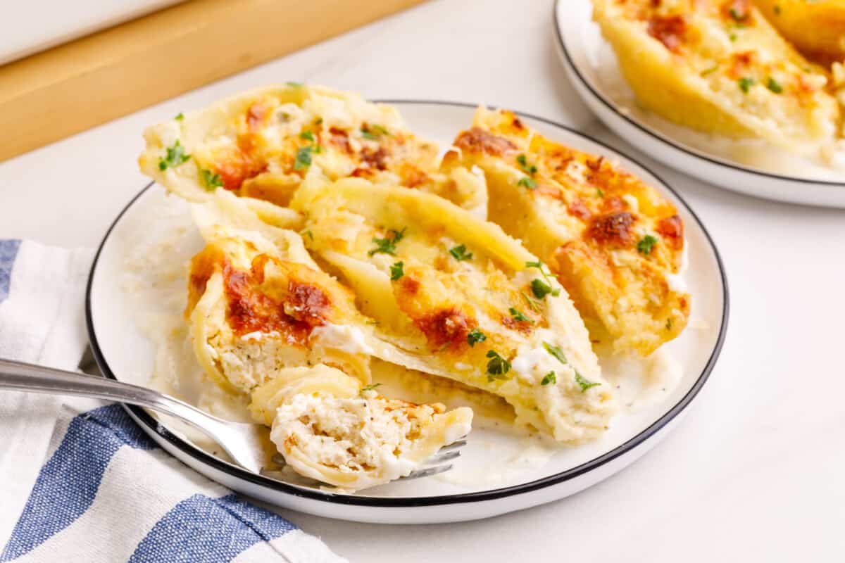 Chicken alfredo stuffed shells on plate with parsley.