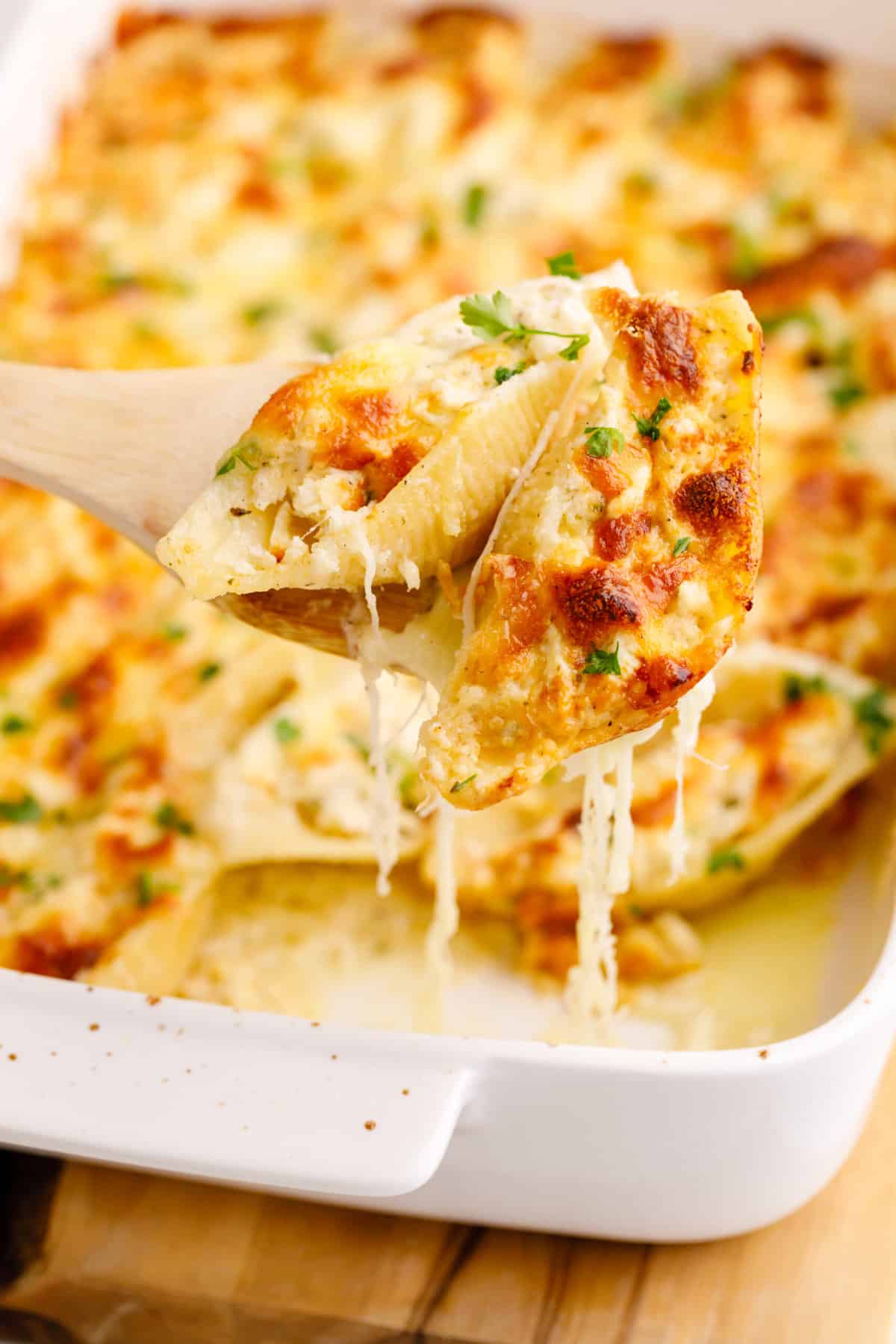 close up image of two chicken alfredo stuffed shells. 