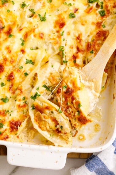 A spoon lifting a scoop of chicken alfredo stuffed shells from a baking dish.