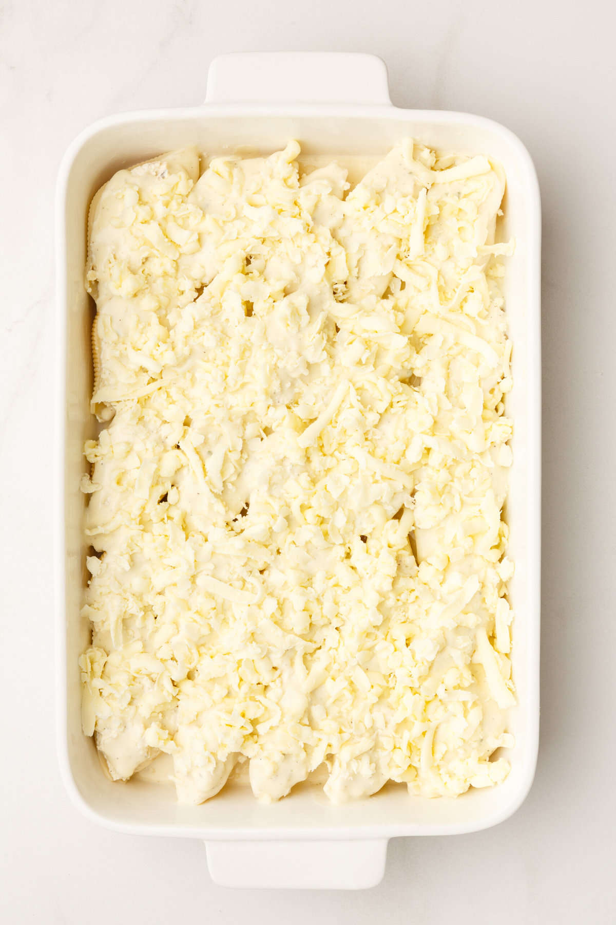 top down image of unbaked chicken alfredo stuffed shells topped with shredded mozzarella cheese in a 9x13 inch casserole dish. 