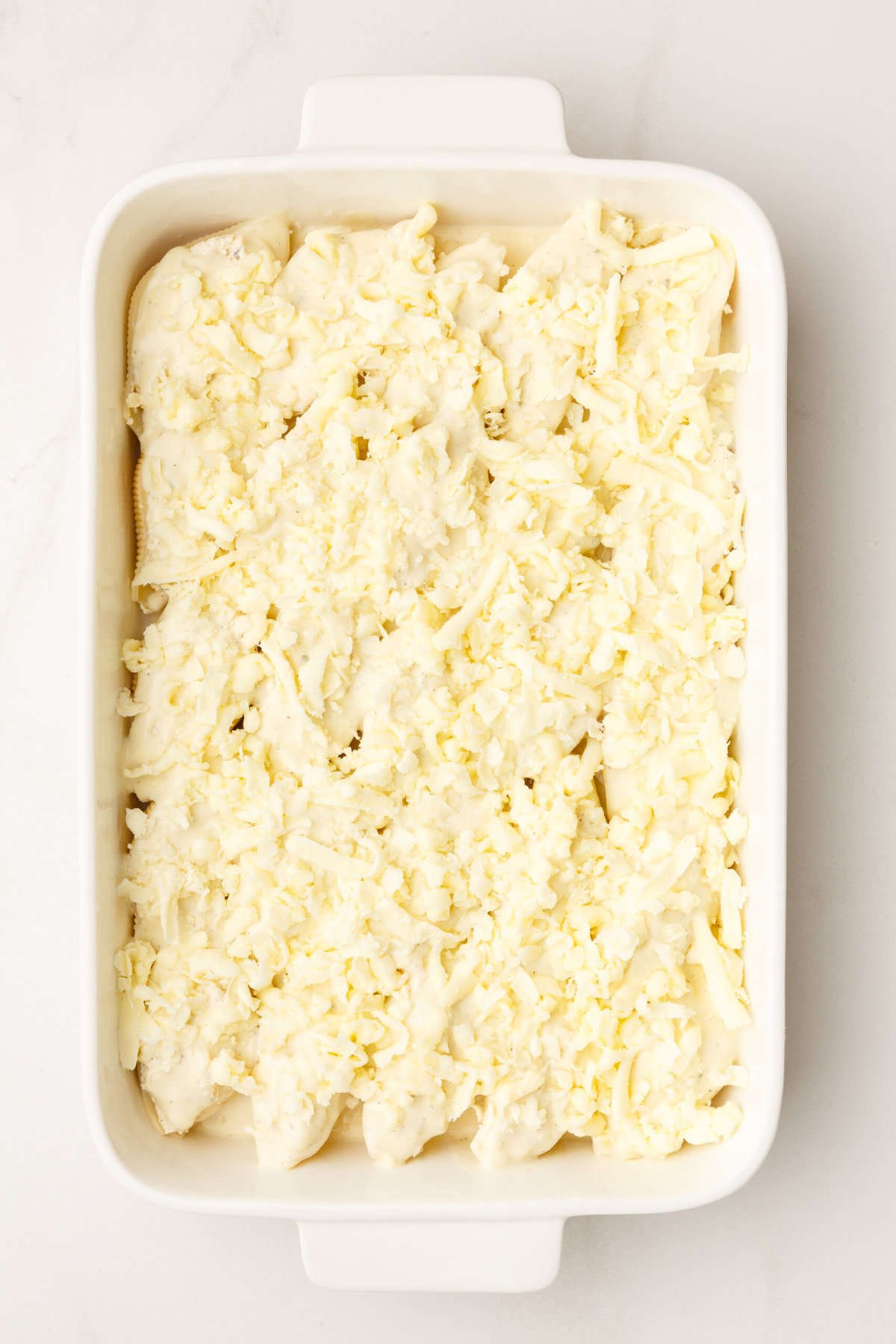 top down image of unbaked chicken alfredo stuffed shells topped with shredded mozzarella cheese in a 9x13 inch casserole dish. 