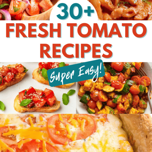 30+ fresh tomato recipes collage.