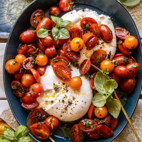 marinated tomatoes with fresh burrata