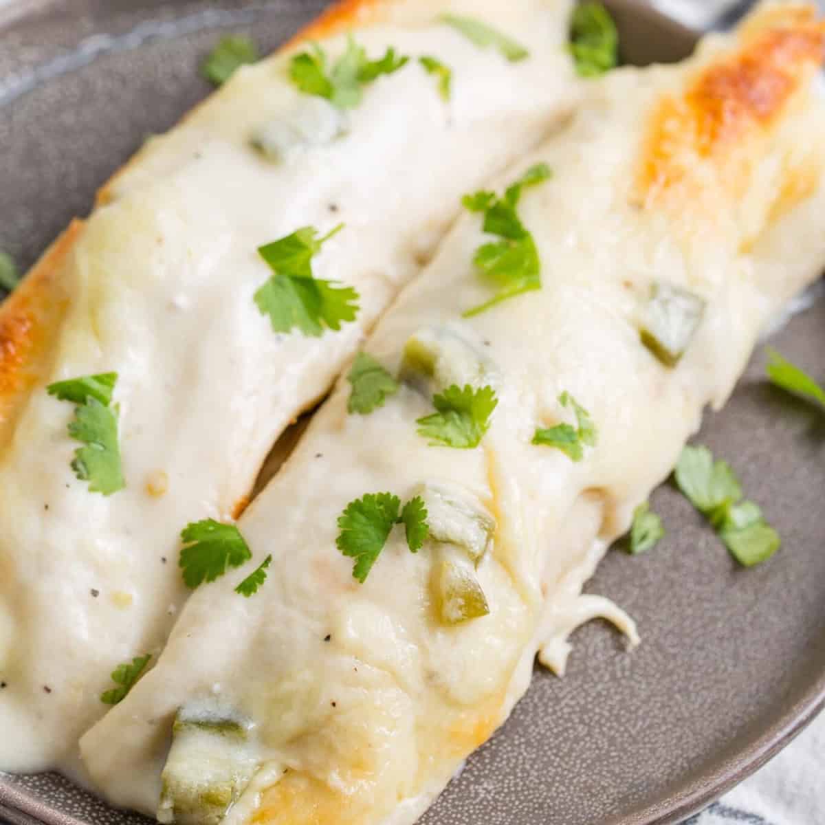 white chicken enchiladas on a grey plate