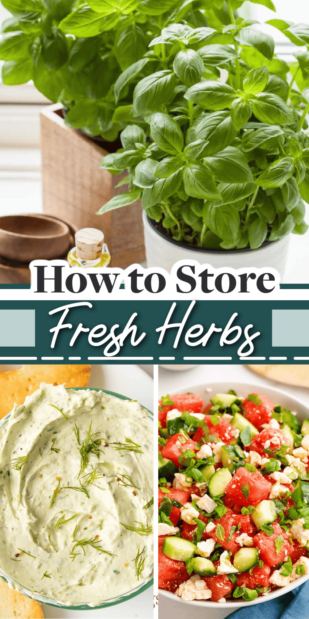 how to store fresh herbs with images of fresh basil.