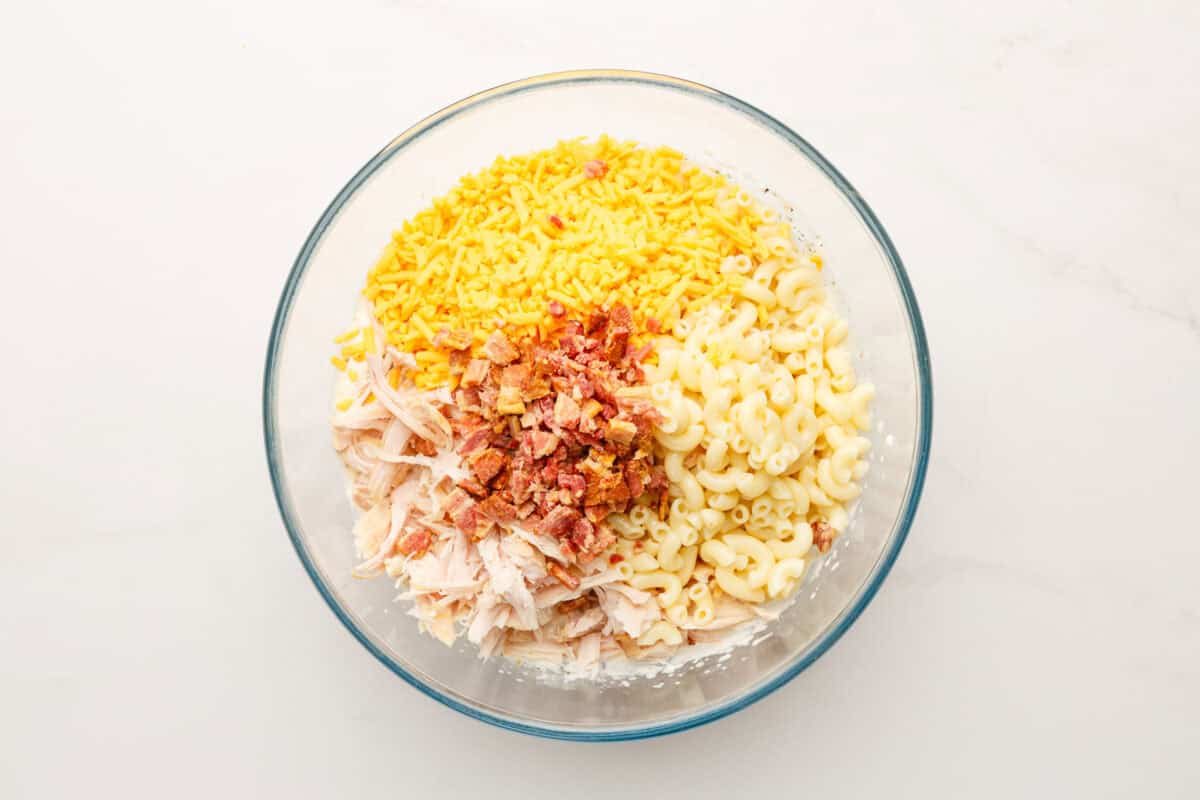 Cheddar, bacon, pasta, and chicken added to bowl of sauce.