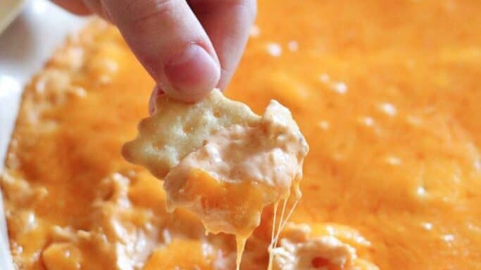 chicken wing dip
