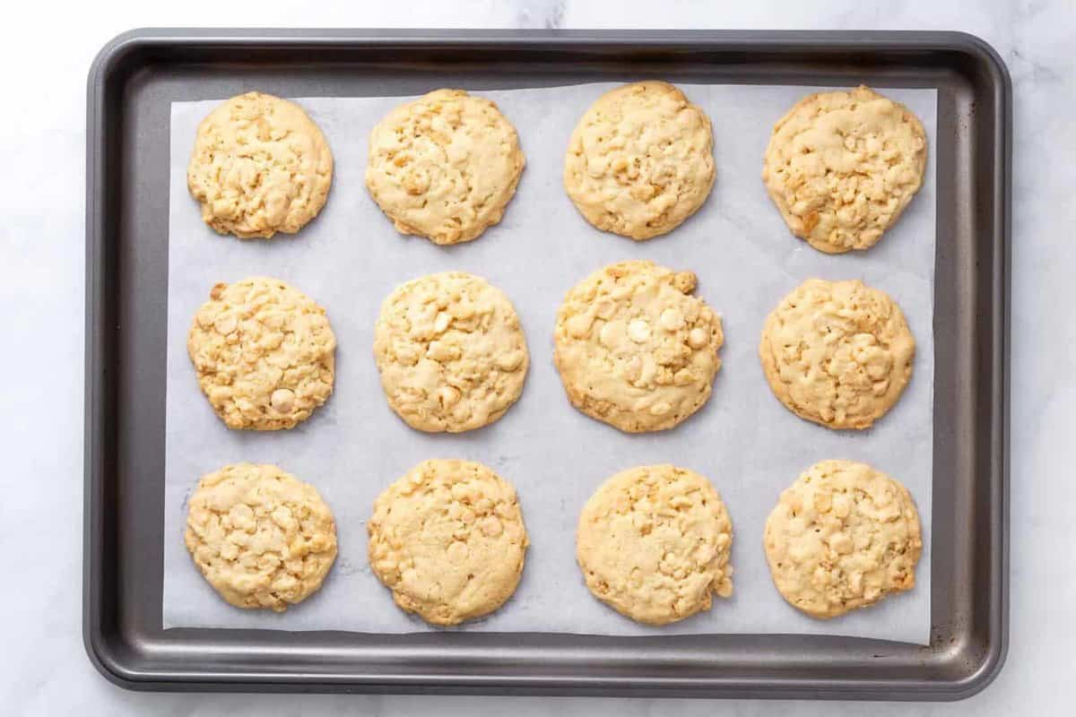 Rice krispie cookies baked and cooling on a sheet tray.