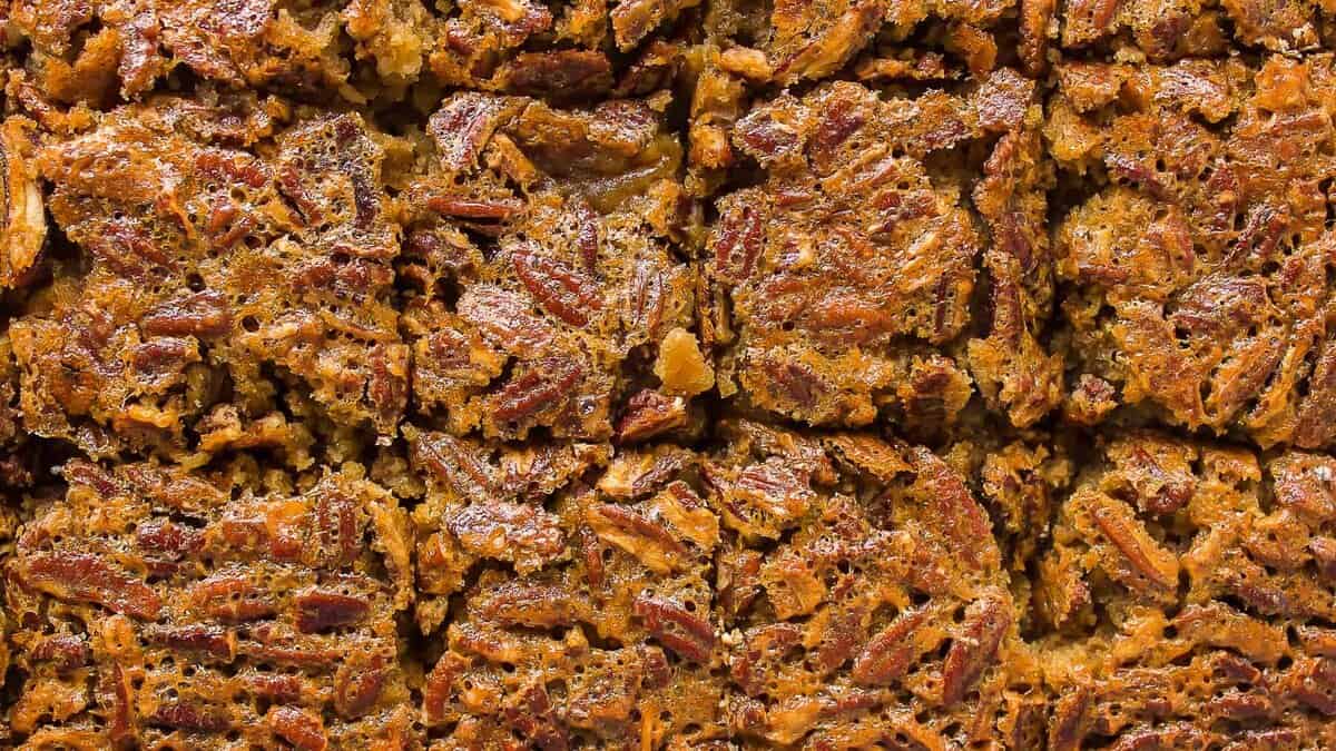 A close up shot of cut pecan pie bars.