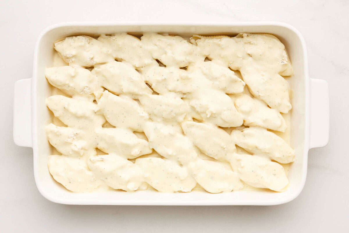Ricotta stuffed pasta shells in baking dish with alfredo sauce.