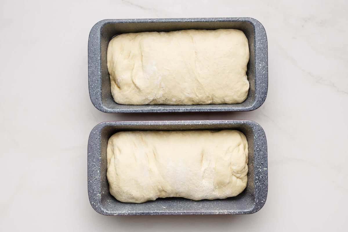 Two loaves of white sandwich bread in pans before baking.