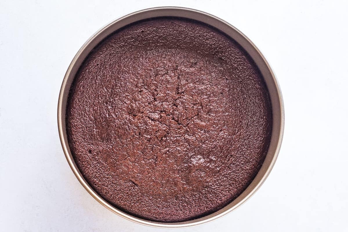 Homemade chocolate cake baked in round pan.