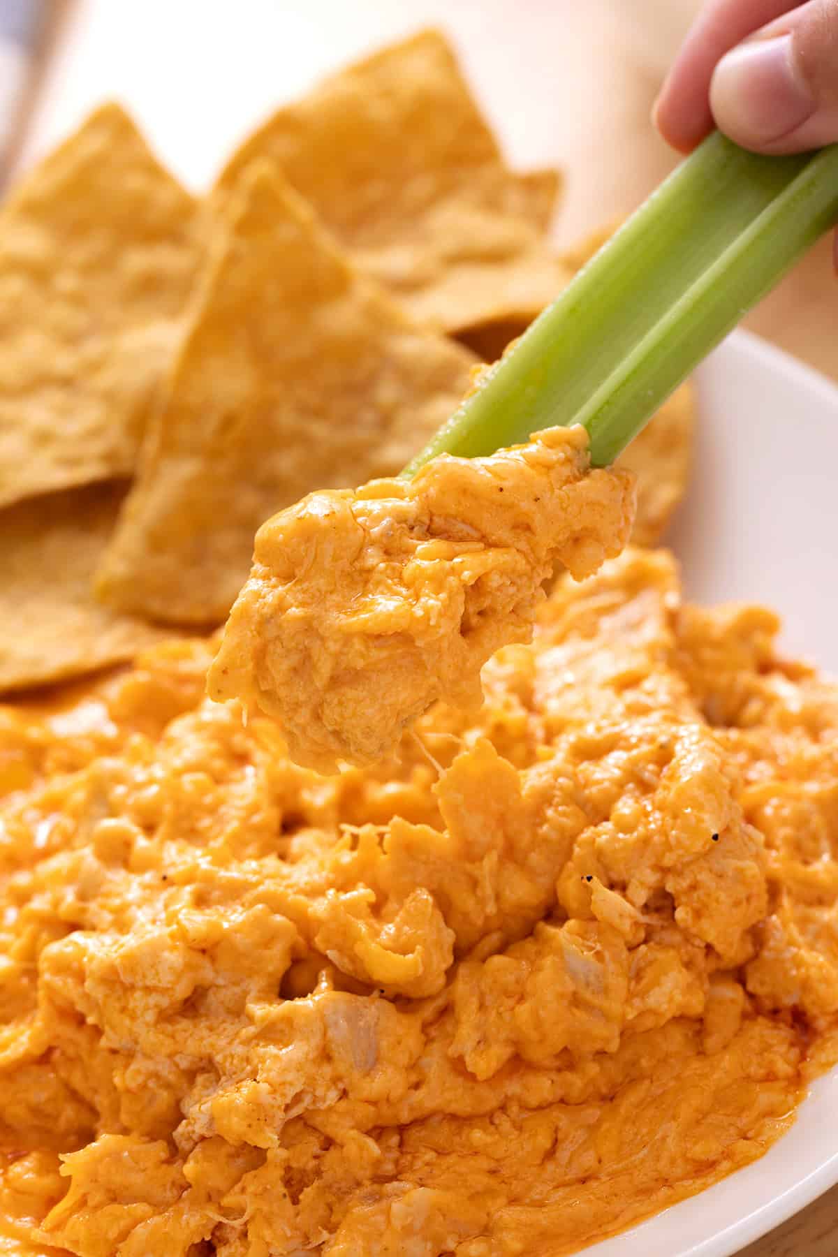 Buffalo chicken dip in a white bowl with celery sticks and tortilla chips