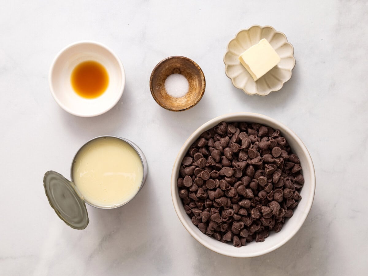 Ingredients for easy fudge recipe, including vanilla, salt, butter, condensed milk, and chocolate chips.